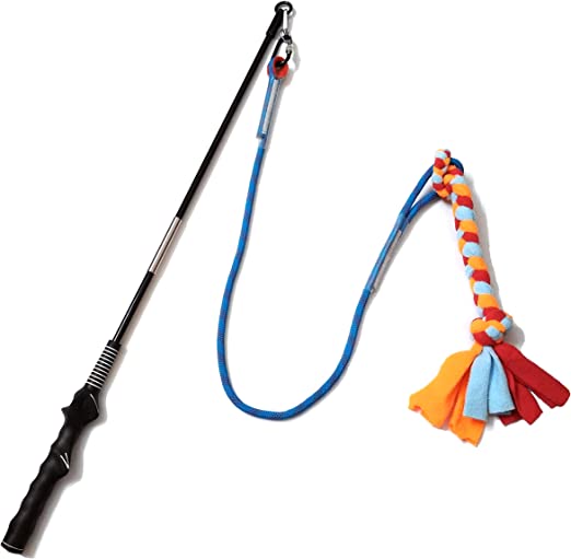 The Flirt Pole: Dog Toy or Life Changer?