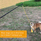 Flirt Pole Toy For Dogs (39.5 in)